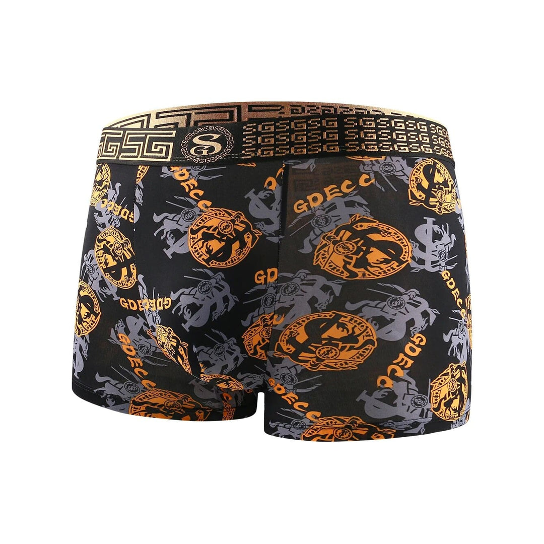 MAXIMUS ICE - BOXERS 5-PACK