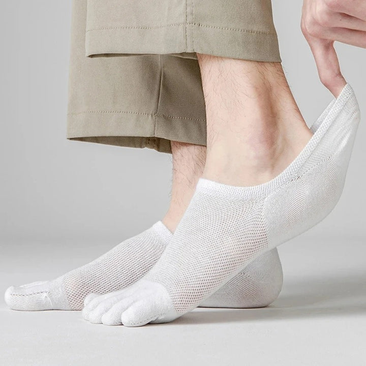 Maxwell Cotton Toe Socks 6-Pack