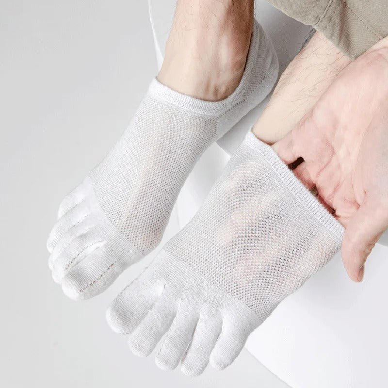 Maxwell Cotton Toe Socks 6-Pack